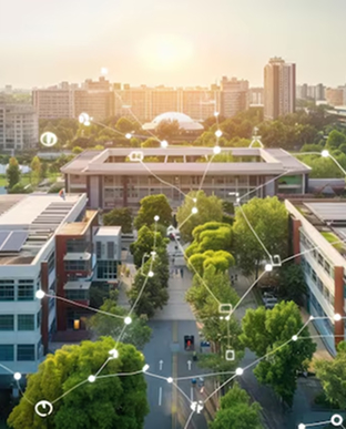 Campus / Multi-site Connectivity